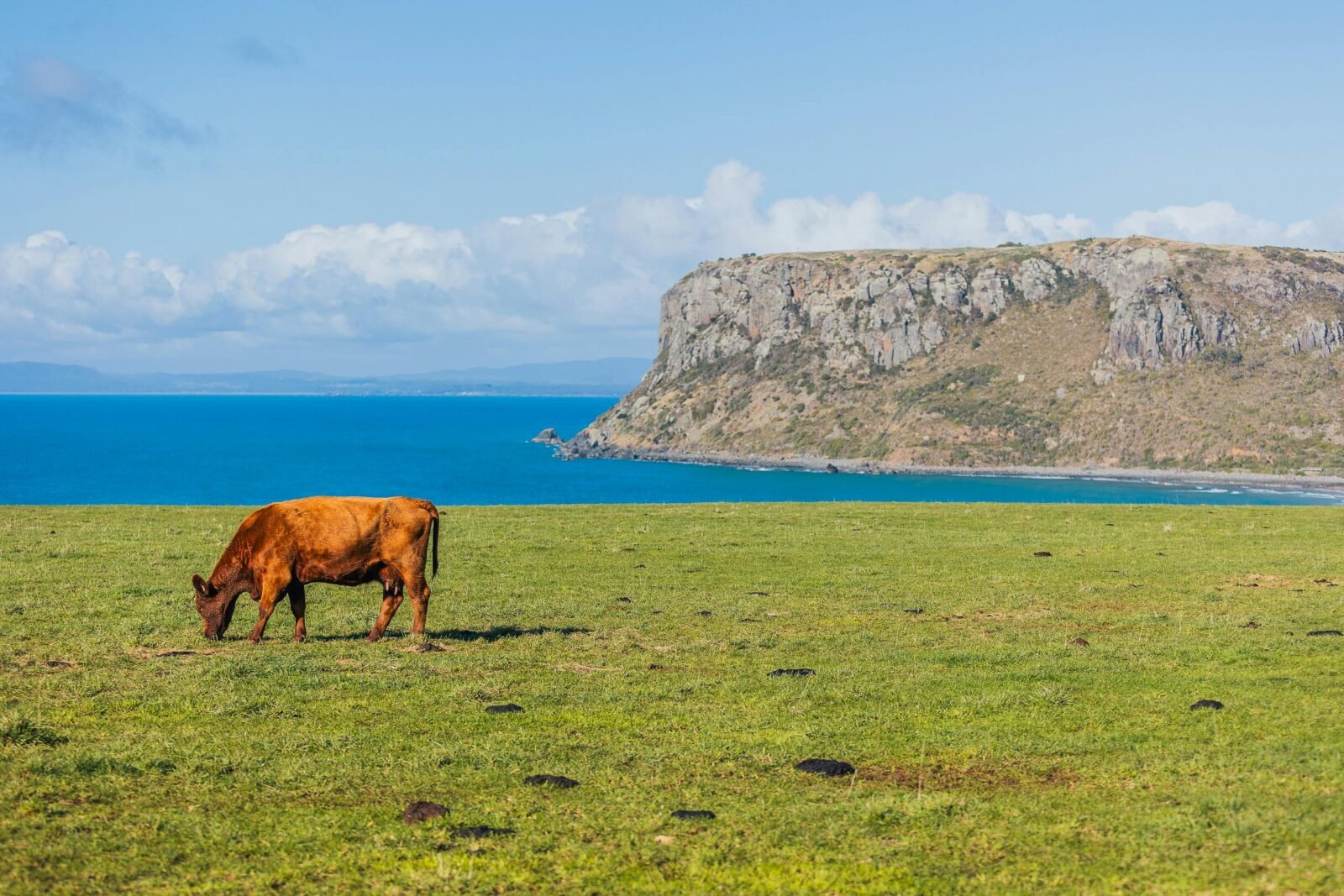 Tasmanian spring packing mistakes
