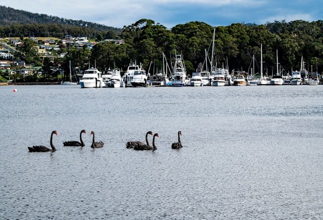 East Coast Tasmania St Helens 