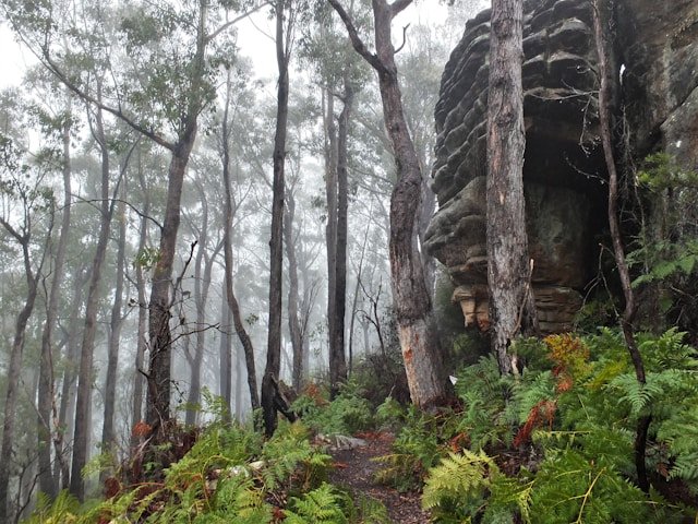 West coast Tasmania 