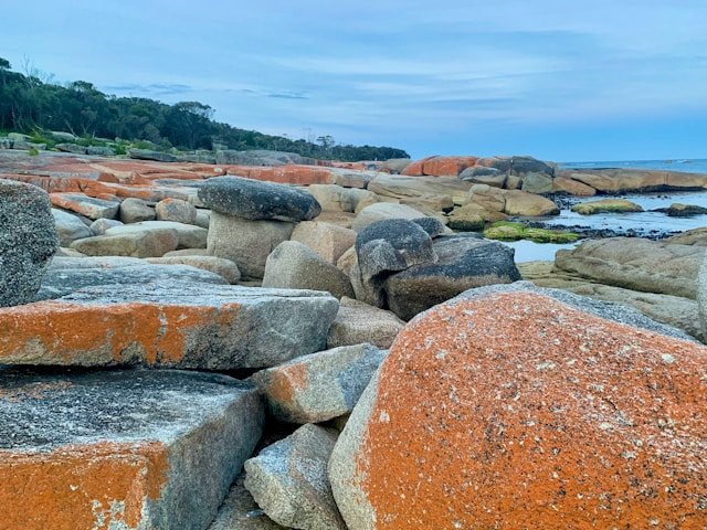 Bay of fires tasmania