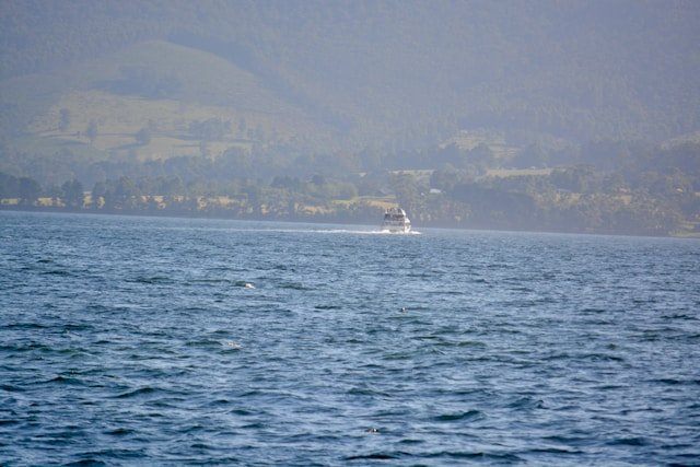 Bruny Island Tasmania Travel Guide: Best Things to Do & Places to Visit
