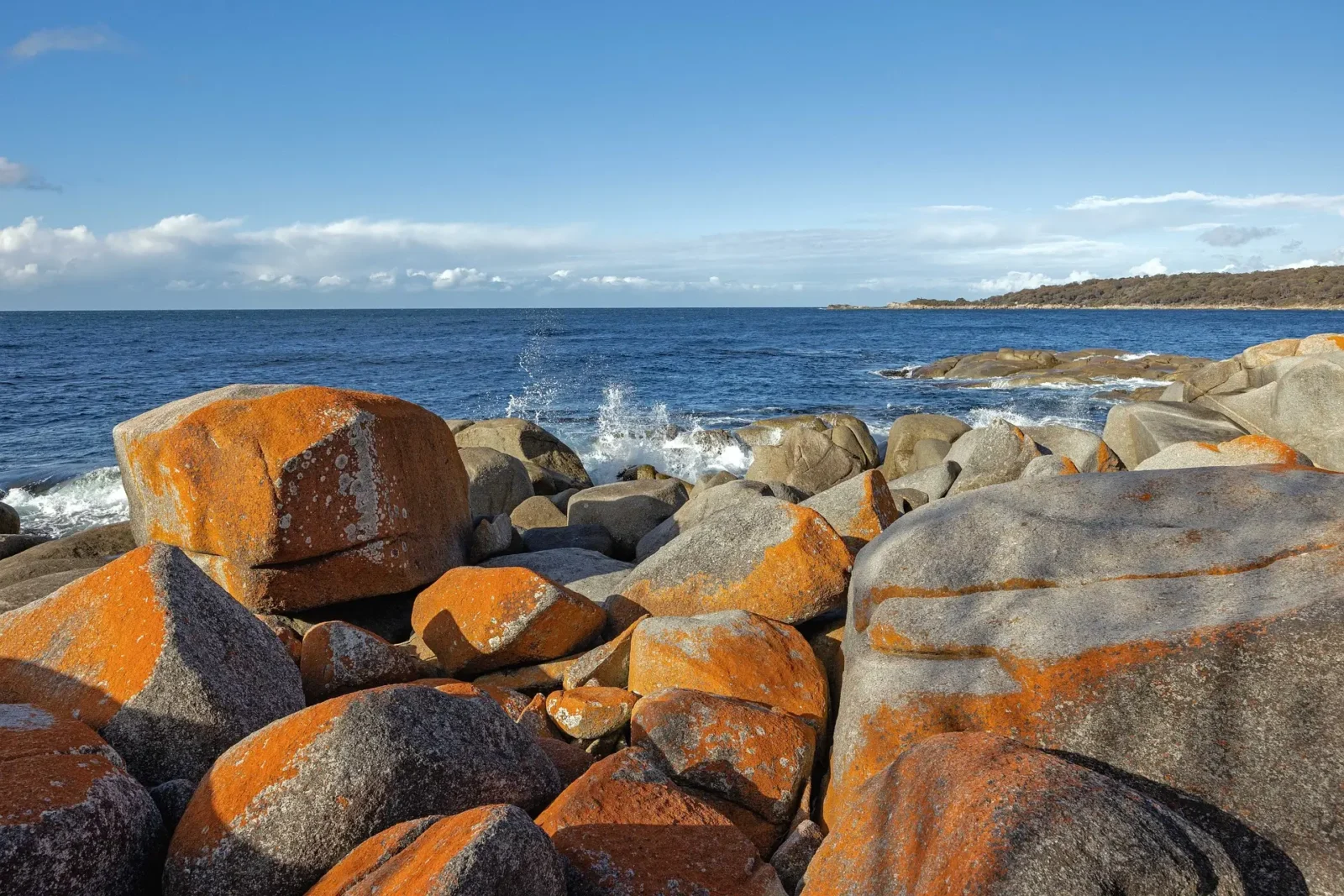 Bay of Fires Tasmania Guide: Best Things to Do, Beaches & Travel Tips 2 Bay of fires east coast