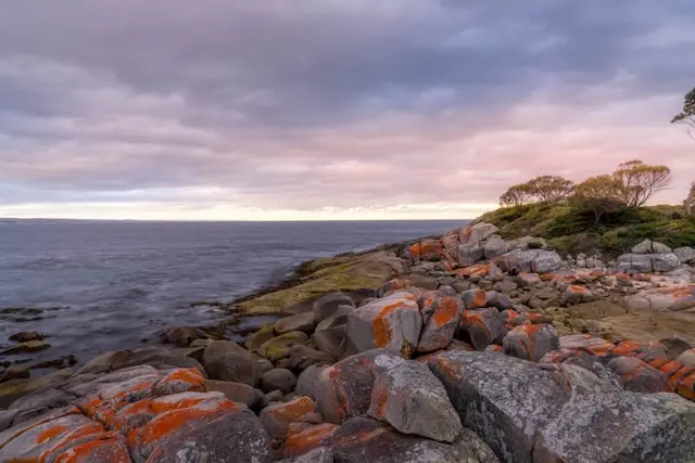 Bay of Fires Tasmania Guide: Best Things to Do, Beaches & Travel Tips 5 Bay of fires Australia Tasmania
